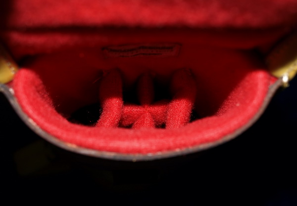 holster-longting-q-interior.jpg